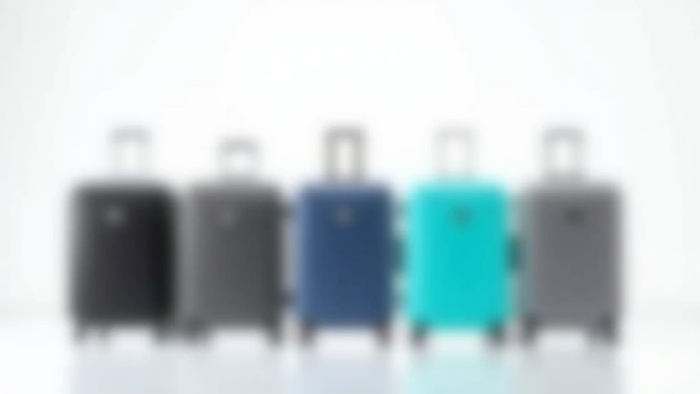 affordable carry on luggage options